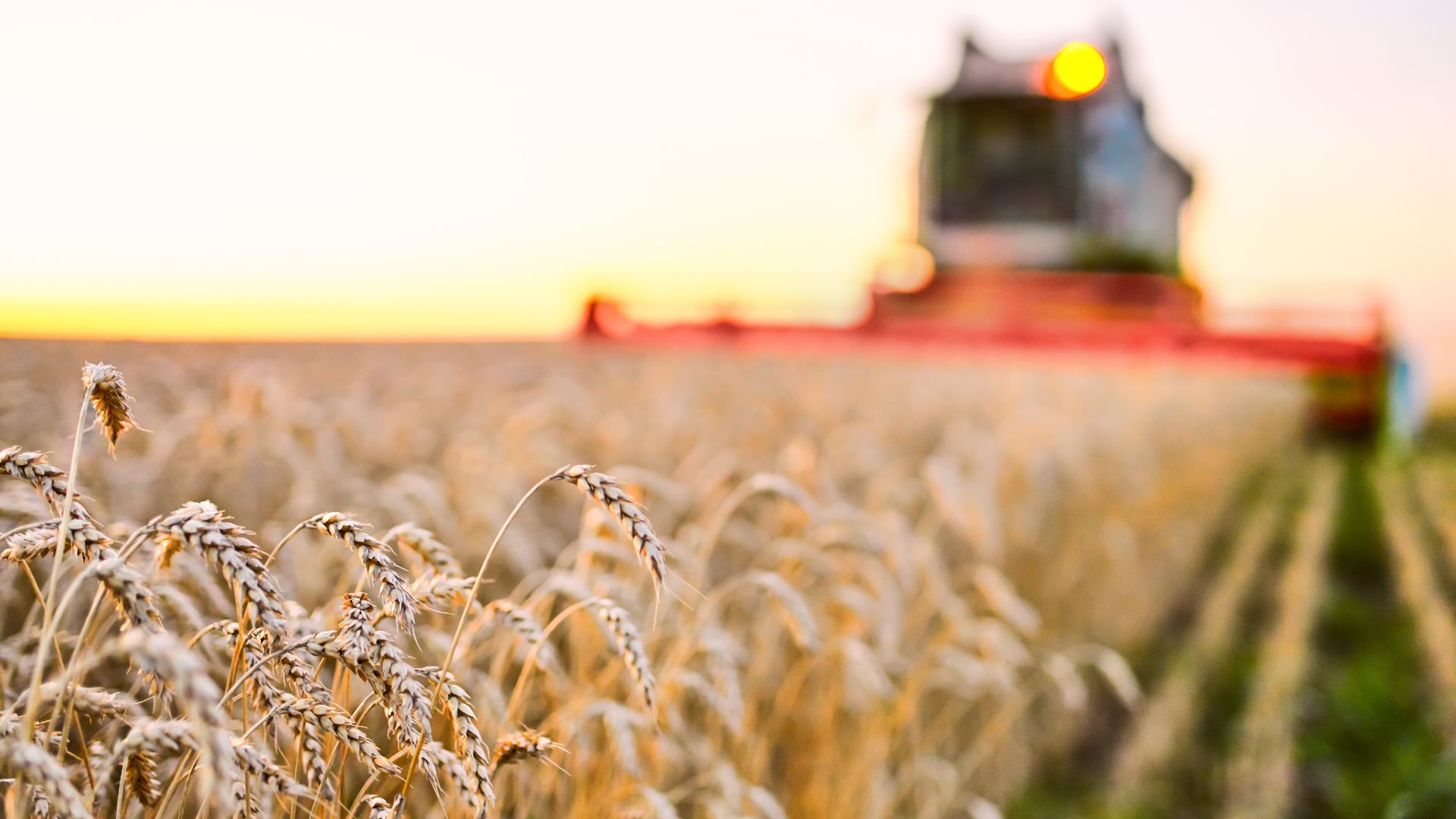 MSA prise en charge cotisations sociales exploitants agricoles en difficulté 2025