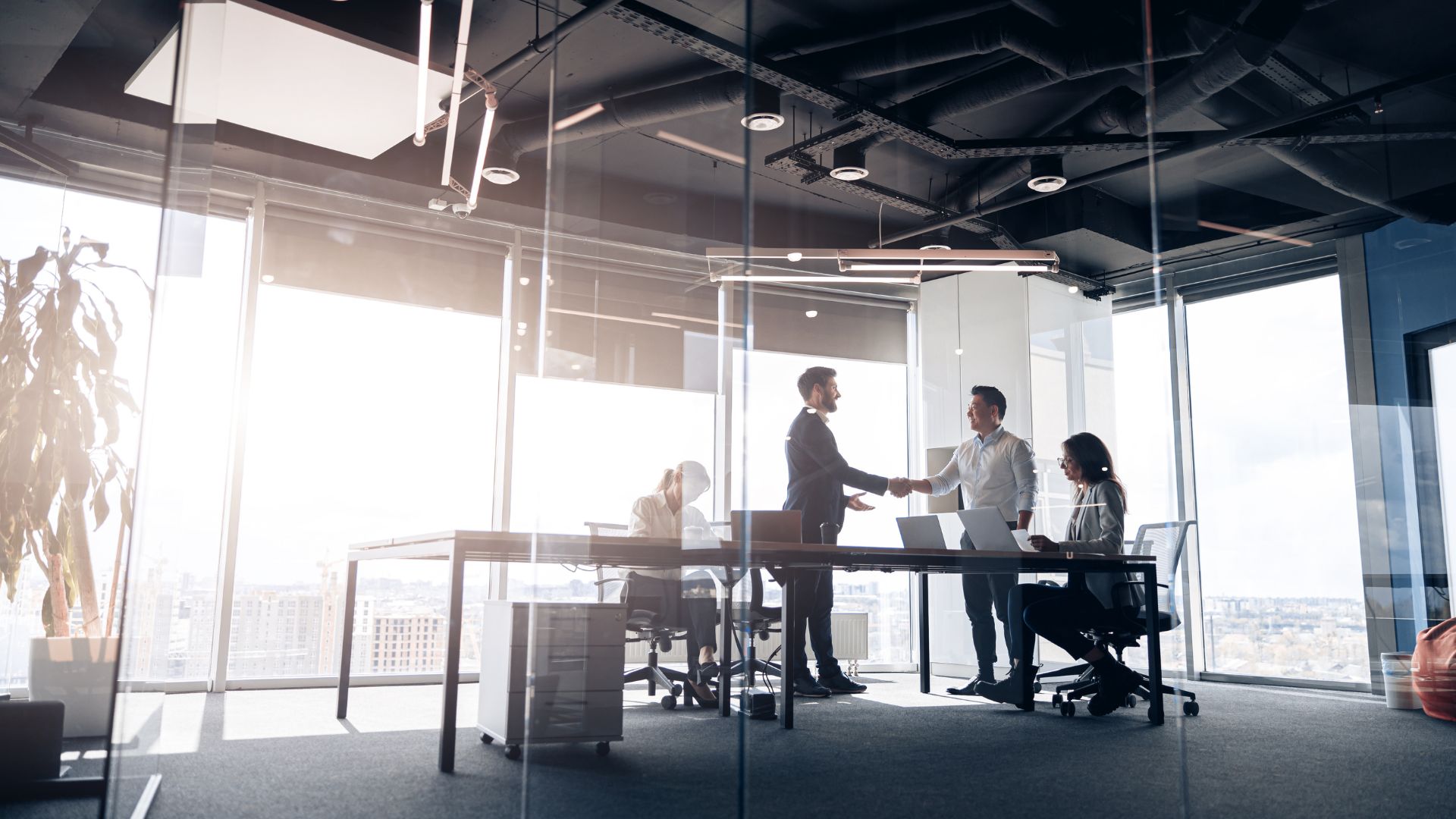 Approbation des comptes SARL EURL : rôle exclusif de l'assemblée des associés