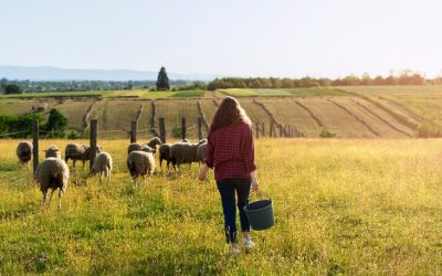 Exploitants agricoles : option cotisations sur les revenus de l’année en cours dès le 1er octobre